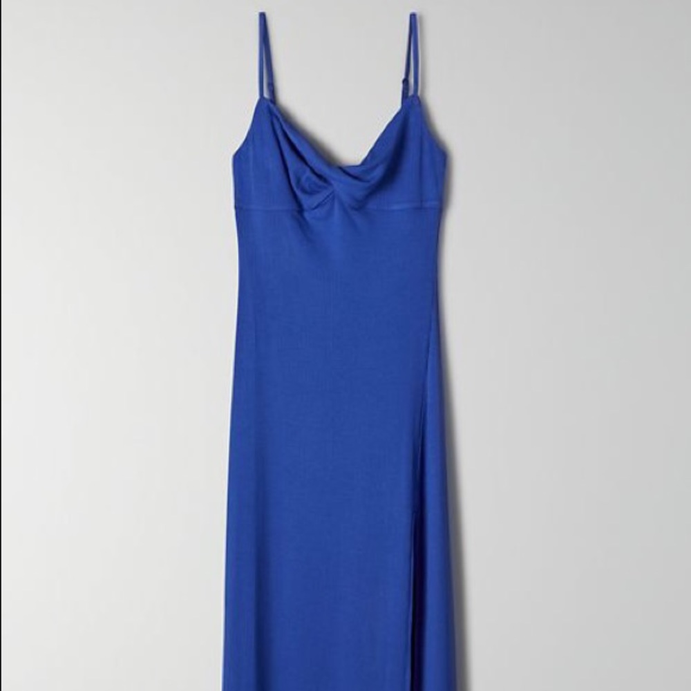 BNWT Wilfred Meridian Dress